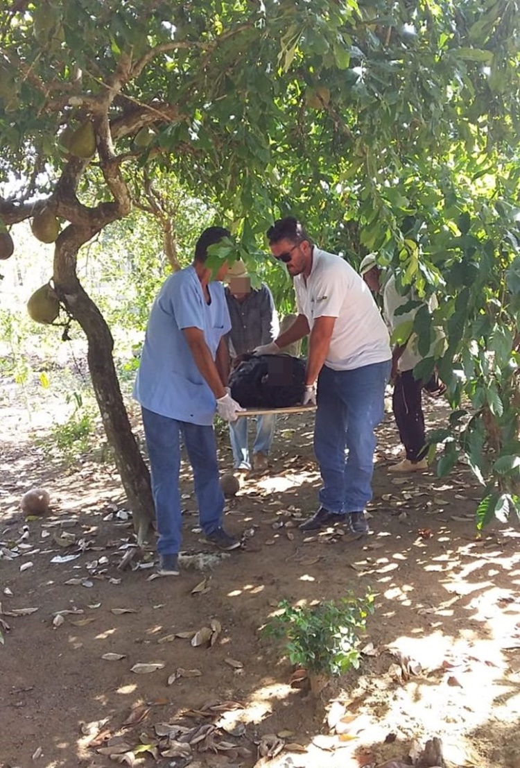 Motocicleta Parte Ao Meio Ap S Grave Acidente Na Ro Em Theobroma