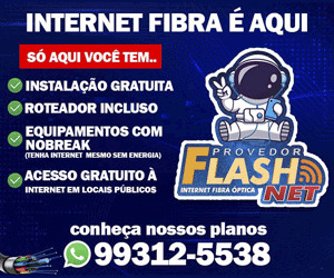 flashNet